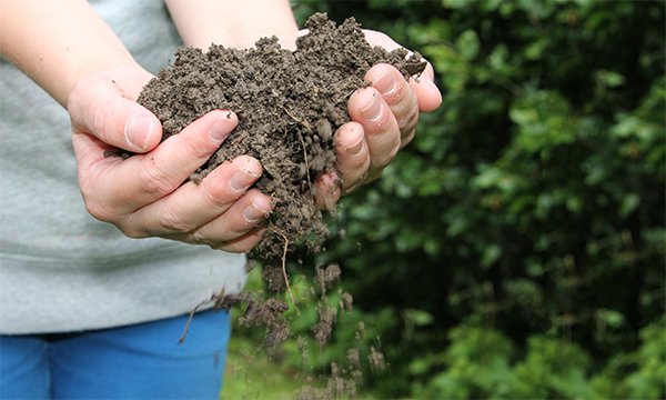 Entsorgung, Containerdienst, Boden, Erde, Steine