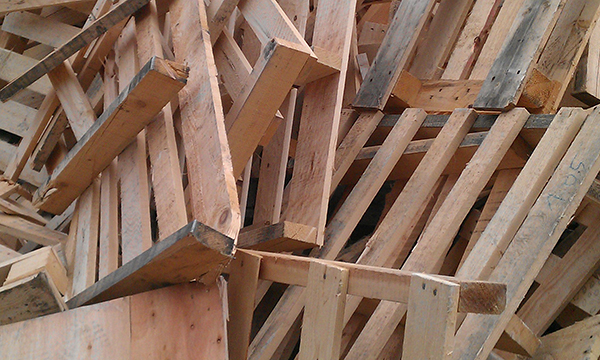 Altholz, Alte Bretter, Spanplatten, Wurzeln